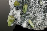 Green Titanite (Sphene), Feldspar and Muscovite - Pakistan #175081-2